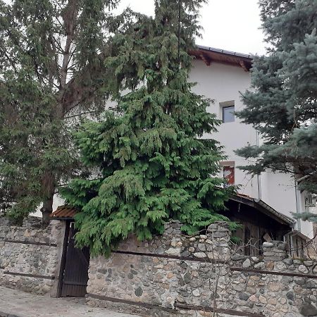Guest House Khizhina - Easy Home サパレヴァ・バニャ エクステリア 写真