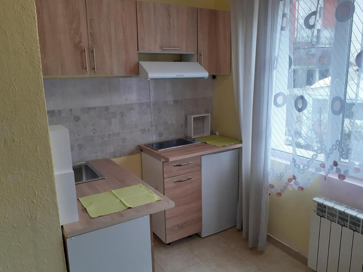 Guest House Khizhina - Easy Home サパレヴァ・バニャ エクステリア 写真